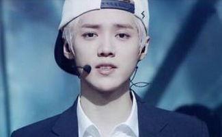 鹿晗简历资料个人资料,从偶像到全能艺人，全面解析他的星途历程