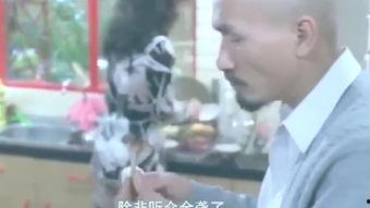 电影搞笑全部电影,盘点那些让人捧腹大笑的喜剧电影盛宴