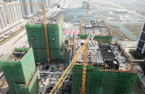 雏形个人资料,从平凡走向卓越的蜕变之路